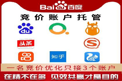 成功秘诀：竞价推广公司案例深度解析